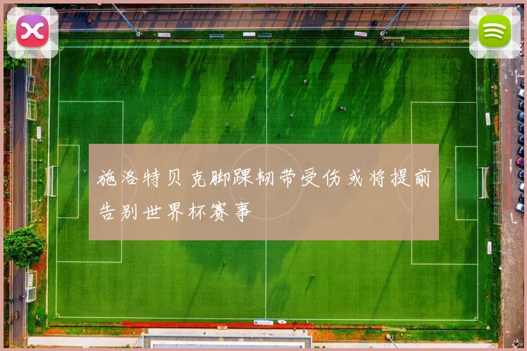 施洛特贝克脚踝韧带受伤或将提前告别世界杯赛事